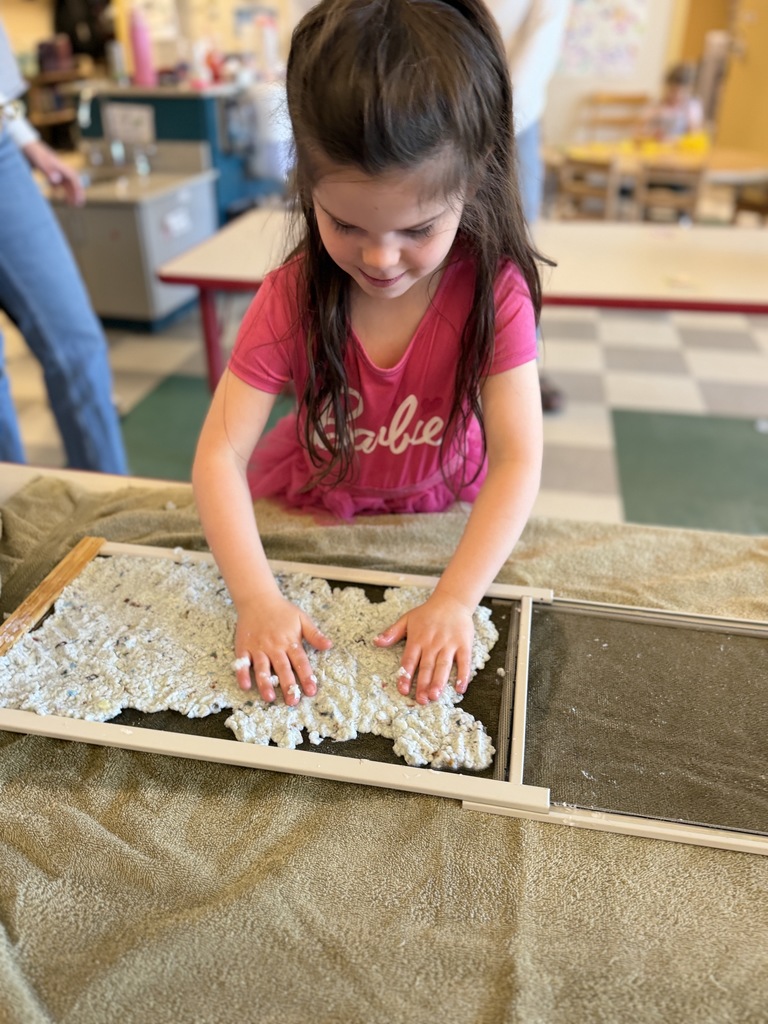 Recycled Paper Project