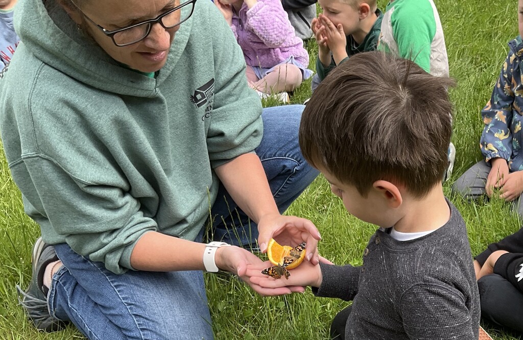 Butterfly release