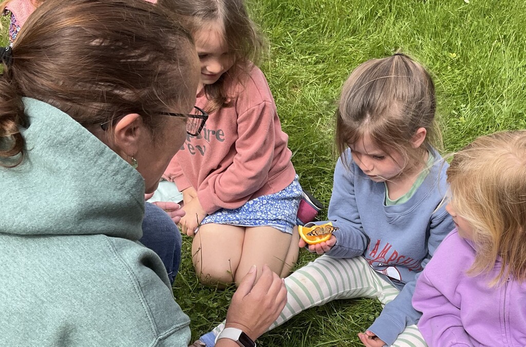 Butterfly release