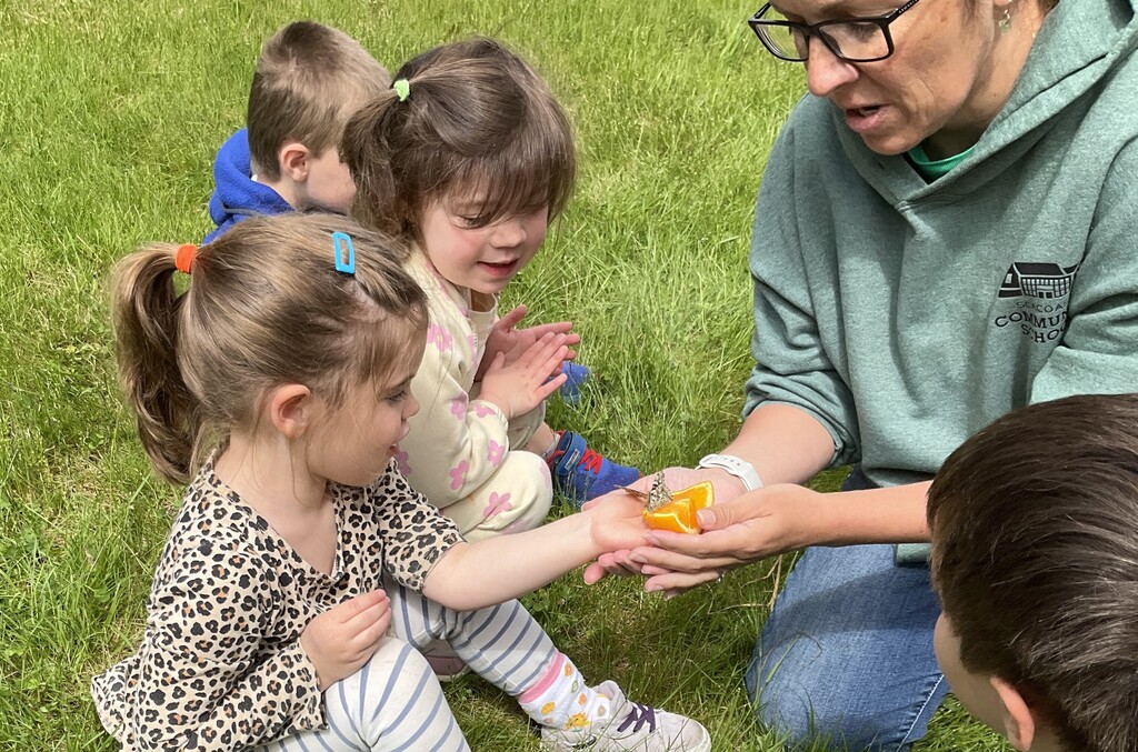 Butterfly release