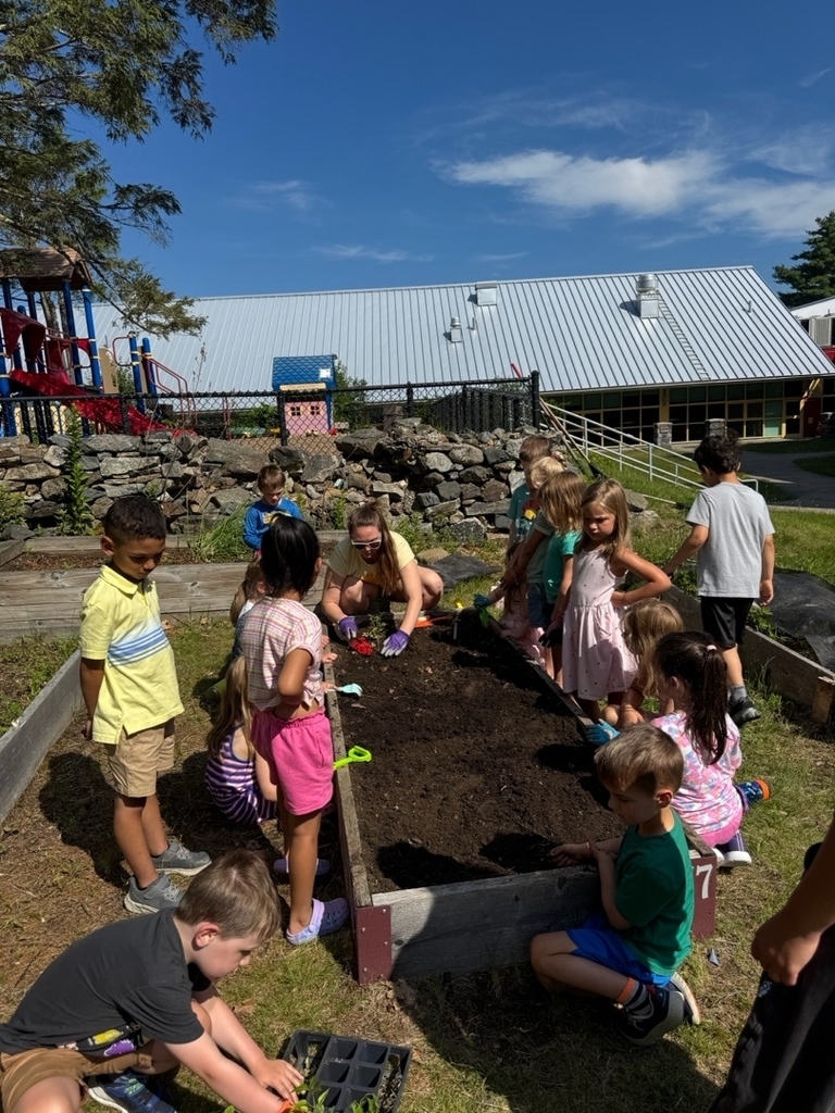 school gardening