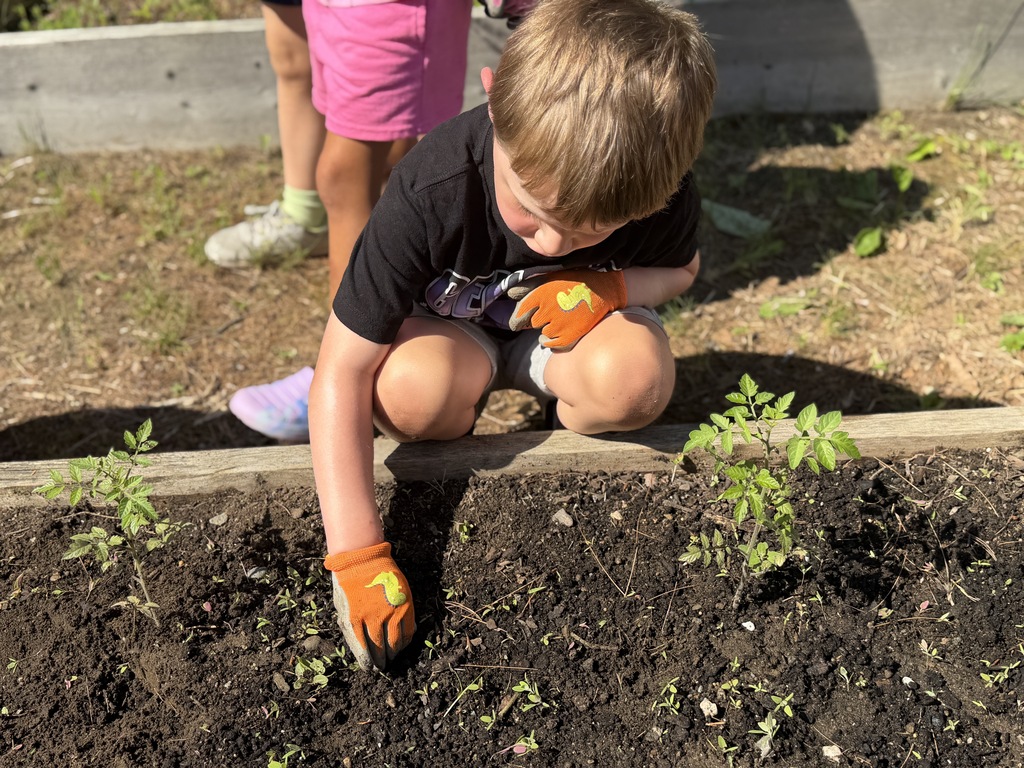gardening