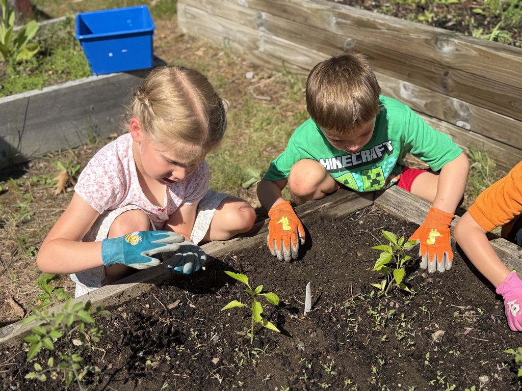 gardening