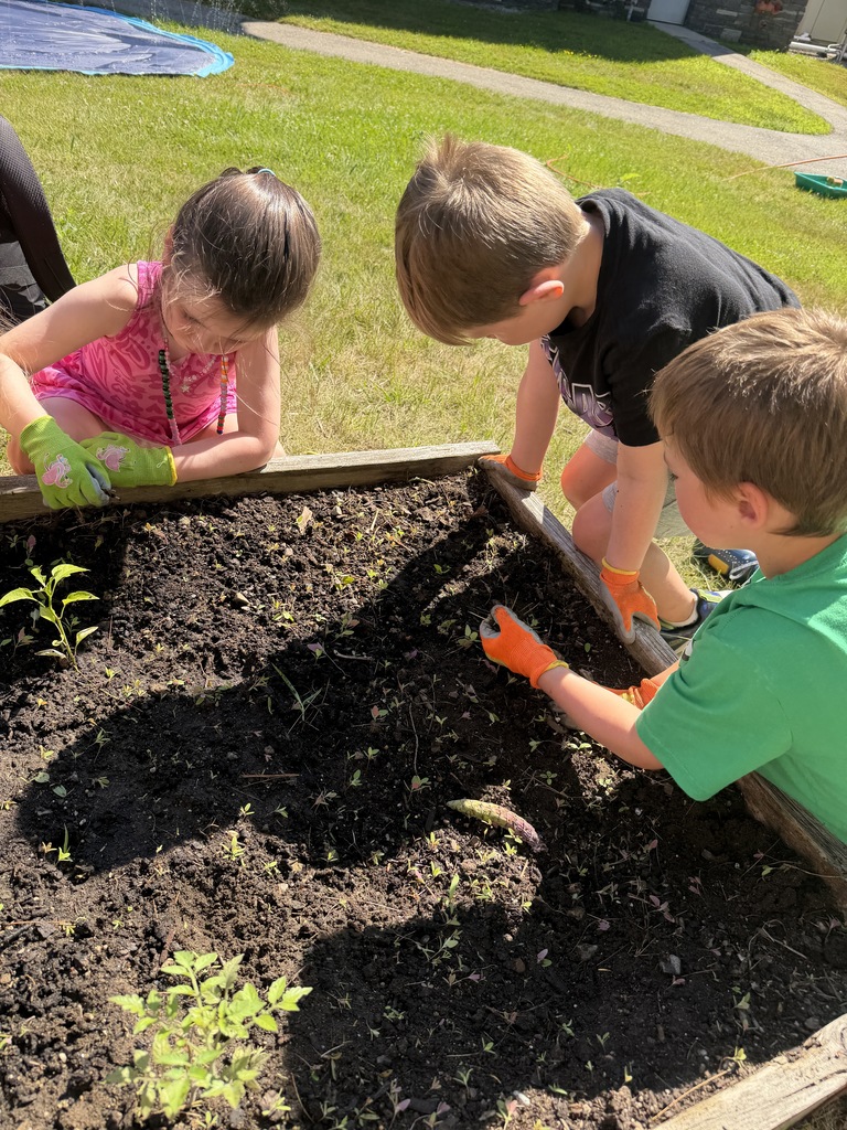 gardening