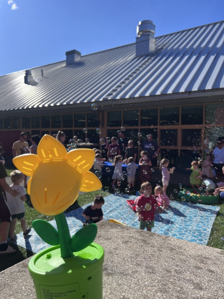 Field Day