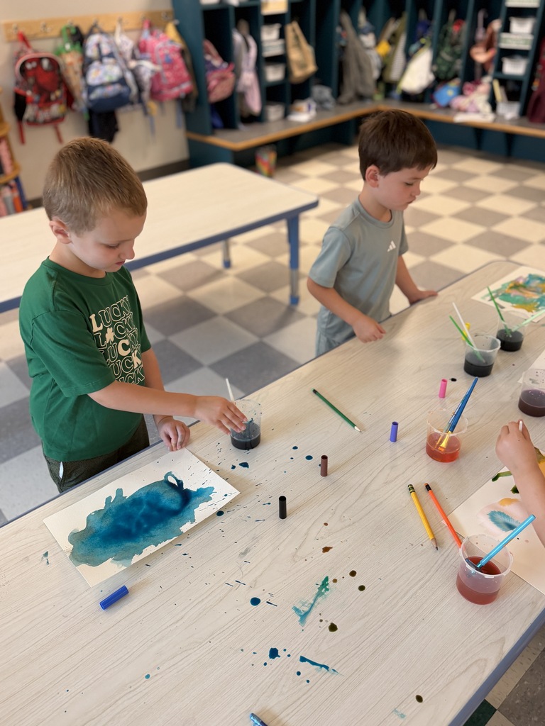 Sea Turtles Activity