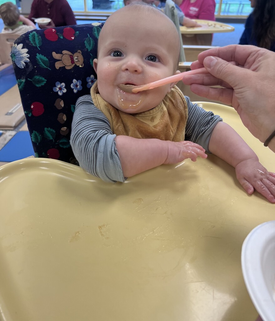 Applesauce Party