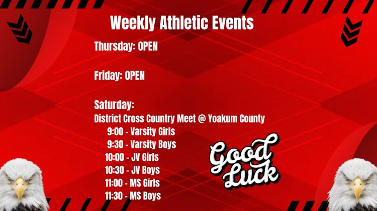 weekly schedule