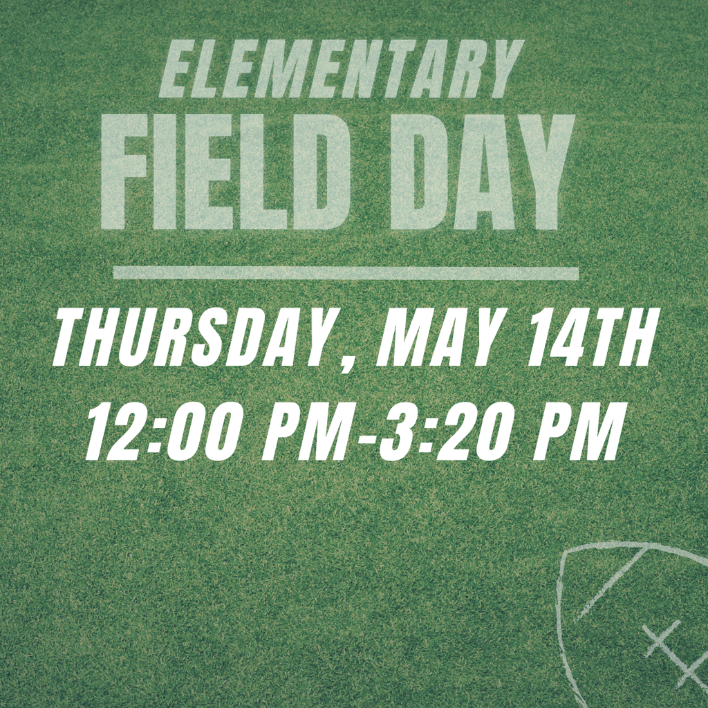 Elementary Field Day
