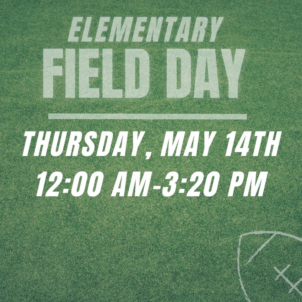 Elementary Field Day