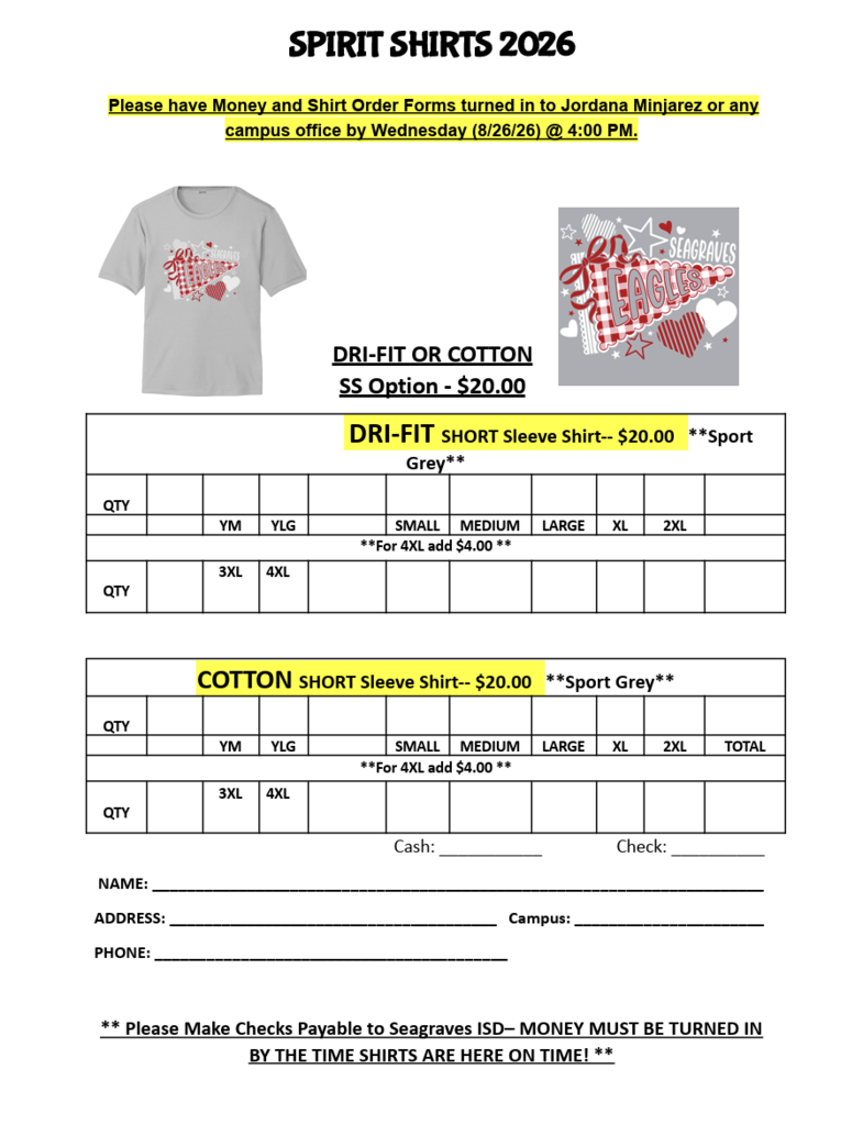Spirit Shirt Option 2