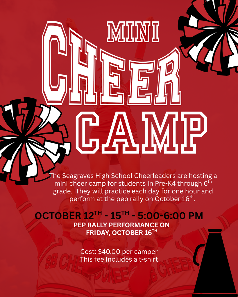 Mini Cheer Camp
