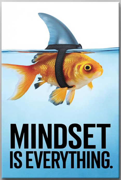 fish mindset