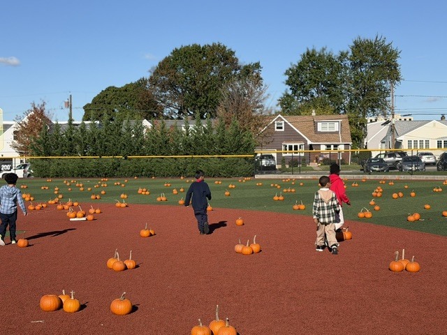 Four children walking on a field with pumpkins. Trees and houses in the background.