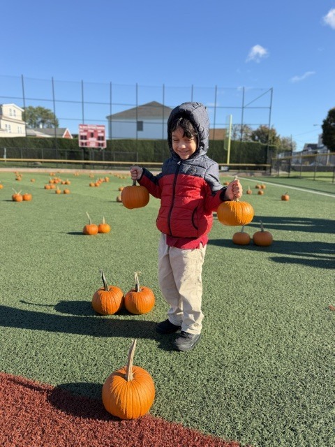 A child in a red jacket and khaki pants holds pumpkins on an artificial field. Many pumpkins are scattered around.