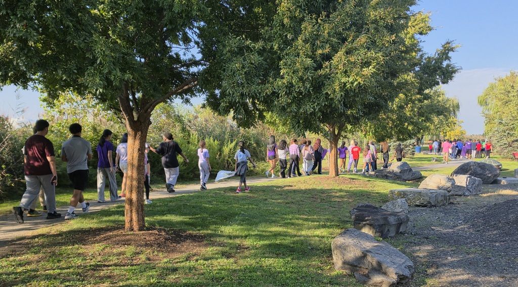 A group of people walking on a path through a grassy area with trees and rocks.