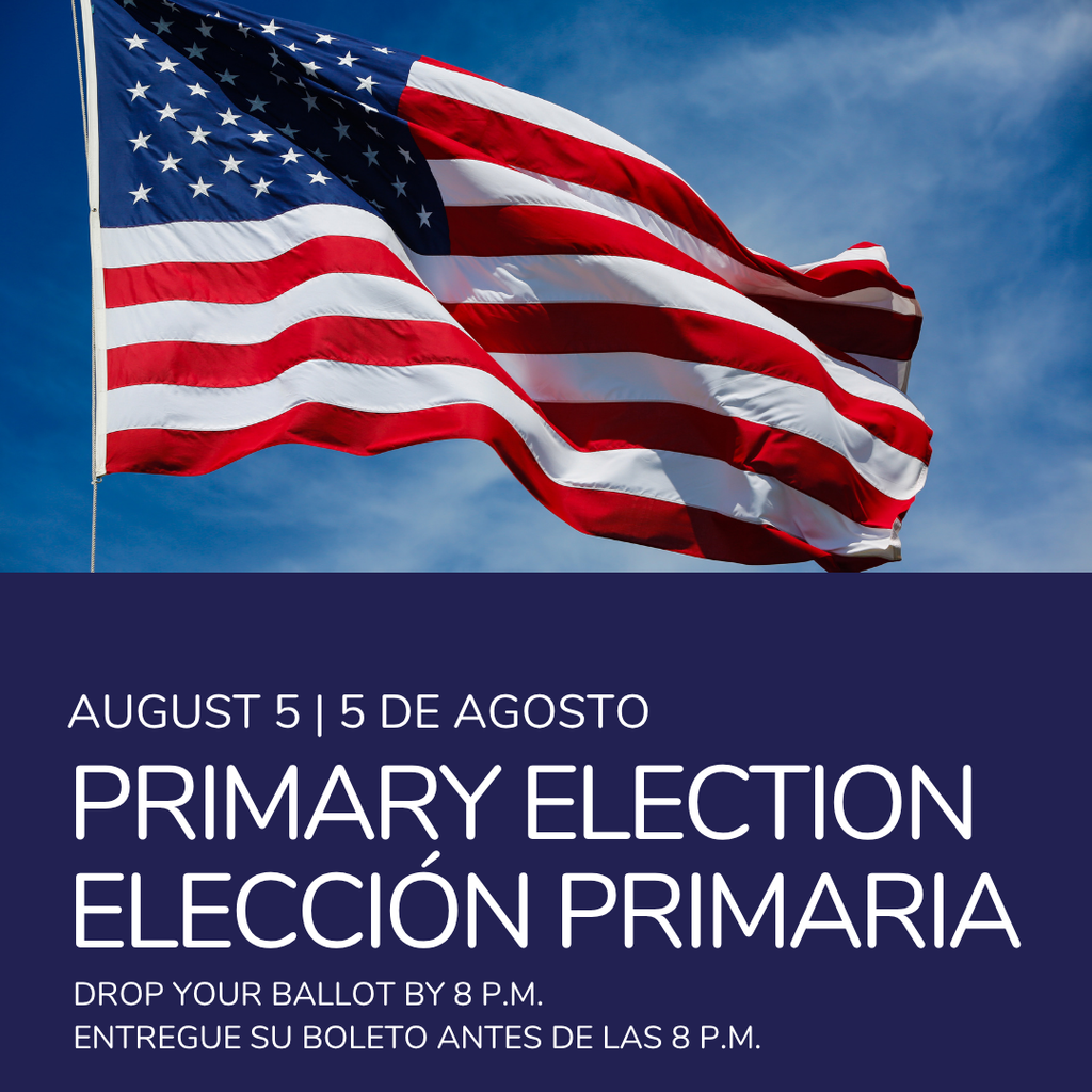 August 5 - Primary Election