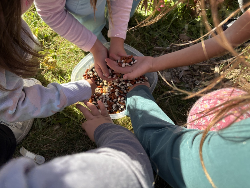 Students at Clear Lake Elementary participate in a Farm to School garden lesson with educator Adele Eslinger, learning about composting and seeds before helping with fall garden cleanup.