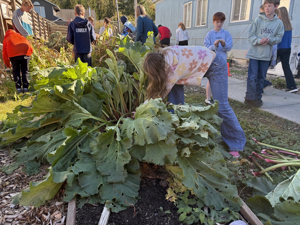 Students at Clear Lake Elementary participate in a Farm to School garden lesson with educator Adele Eslinger, learning about composting and seeds before helping with fall garden cleanup.
