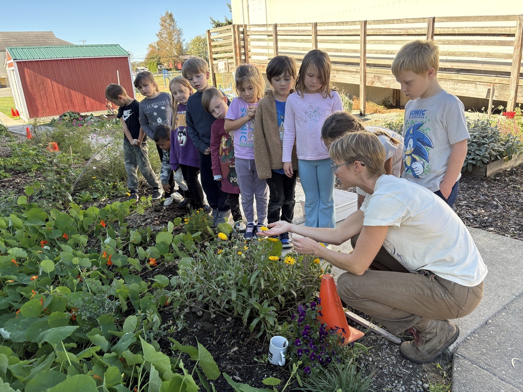 Students at Clear Lake Elementary participate in a Farm to School garden lesson with educator Adele Eslinger, learning about composting and seeds before helping with fall garden cleanup.