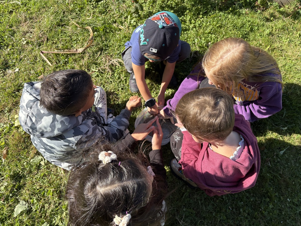 Students at Clear Lake Elementary participate in a Farm to School garden lesson with educator Adele Eslinger, learning about composting and seeds before helping with fall garden cleanup.