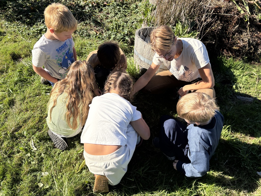 Students at Clear Lake Elementary participate in a Farm to School garden lesson with educator Adele Eslinger, learning about composting and seeds before helping with fall garden cleanup.