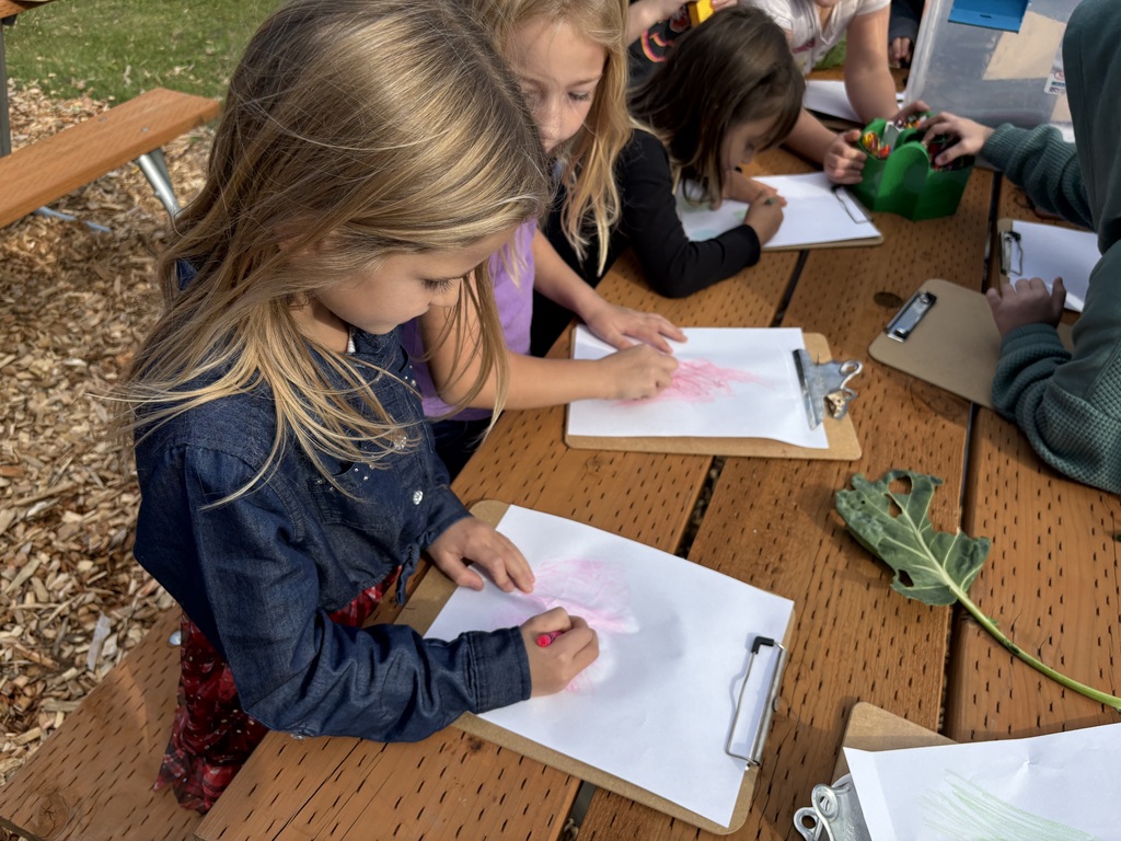 Students at Lyman Elementary participate in Farm to School lessons with instructor Miles Lane, learning about leaves and composting through hands-on garden activities.