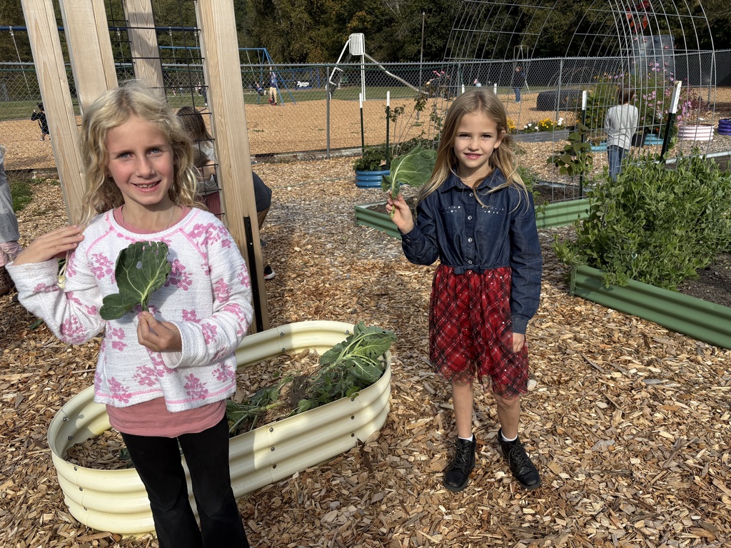 Students at Lyman Elementary participate in Farm to School lessons with instructor Miles Lane, learning about leaves and composting through hands-on garden activities.