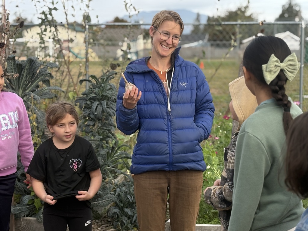 Adele Eslinger from United General District 304 shows Central Elementary third graders how cover crops protect the soil during the winter rainy season. Students work together on a handout about companion planting with garlic.