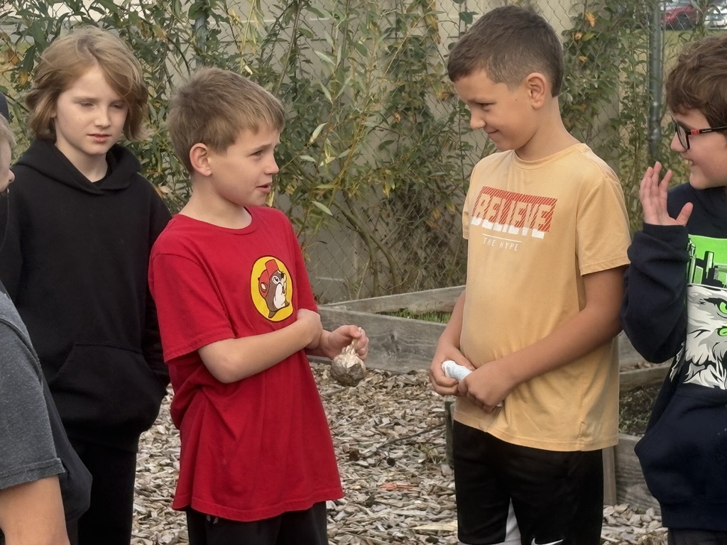 Adele Eslinger from United General District 304 shows Central Elementary third graders how cover crops protect the soil during the winter rainy season. Students work together on a handout about companion planting with garlic.