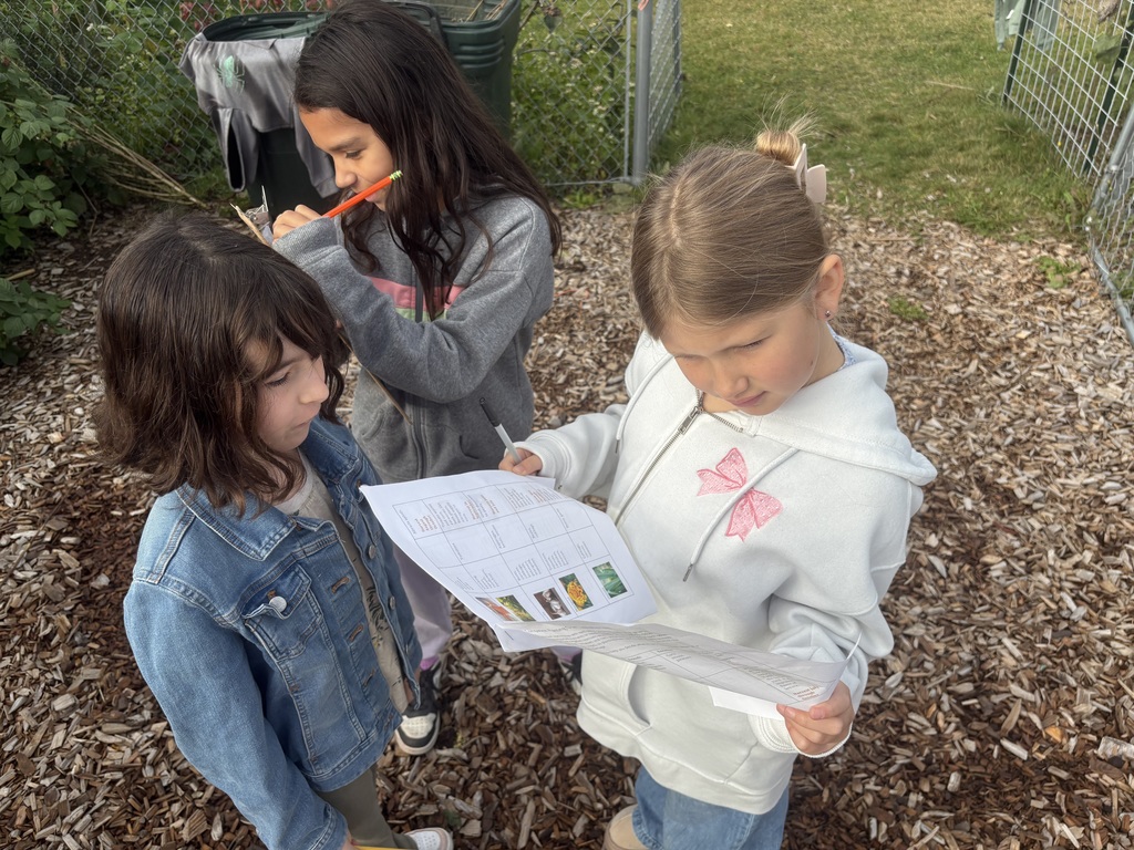Adele Eslinger from United General District 304 shows Central Elementary third graders how cover crops protect the soil during the winter rainy season. Students work together on a handout about companion planting with garlic.