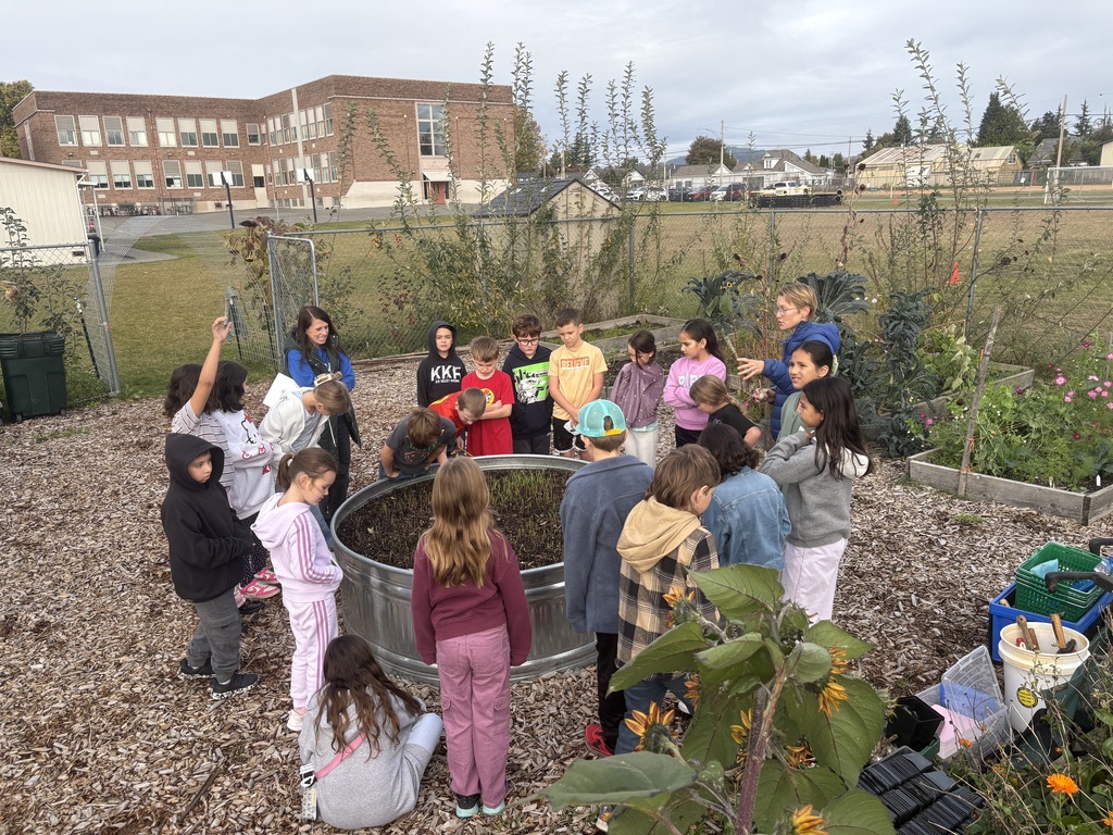 Adele Eslinger from United General District 304 shows Central Elementary third graders how cover crops protect the soil during the winter rainy season. Students work together on a handout about companion planting with garlic.