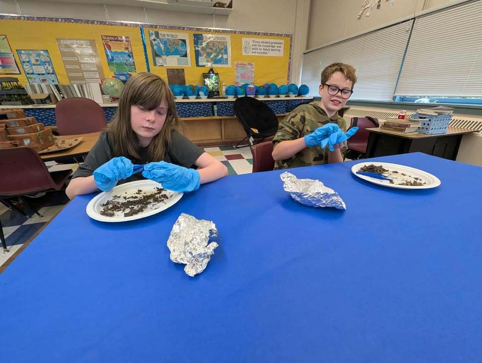 Students in Mrs. Quatsoe’s sixth grade class at Mary Purcell Elementary dissect owl pellets, examining small bones and other remains. Mrs. Quatsoe collected the pellets herself so each student could participate.