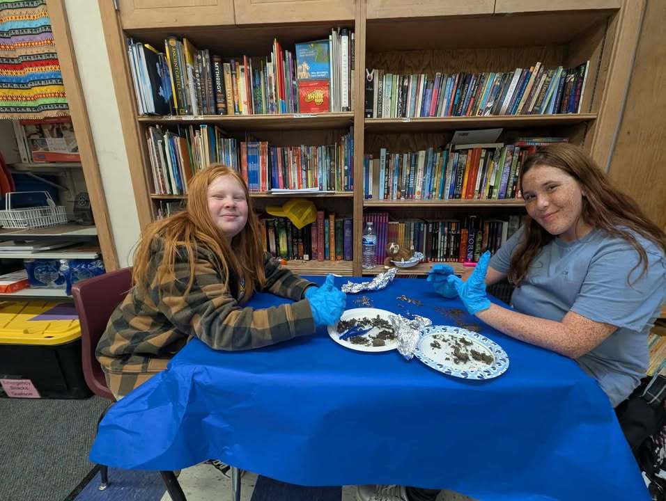 Students in Mrs. Quatsoe’s sixth grade class at Mary Purcell Elementary dissect owl pellets, examining small bones and other remains. Mrs. Quatsoe collected the pellets herself so each student could participate.