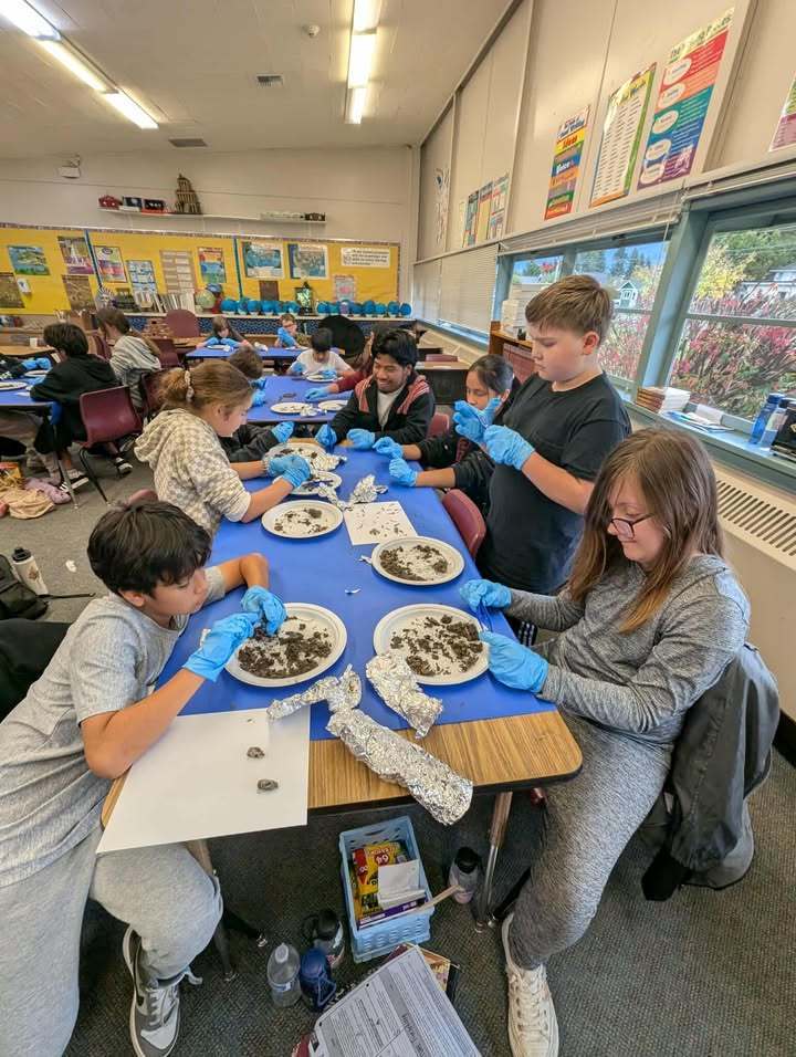 Students in Mrs. Quatsoe’s sixth grade class at Mary Purcell Elementary dissect owl pellets, examining small bones and other remains. Mrs. Quatsoe collected the pellets herself so each student could participate.