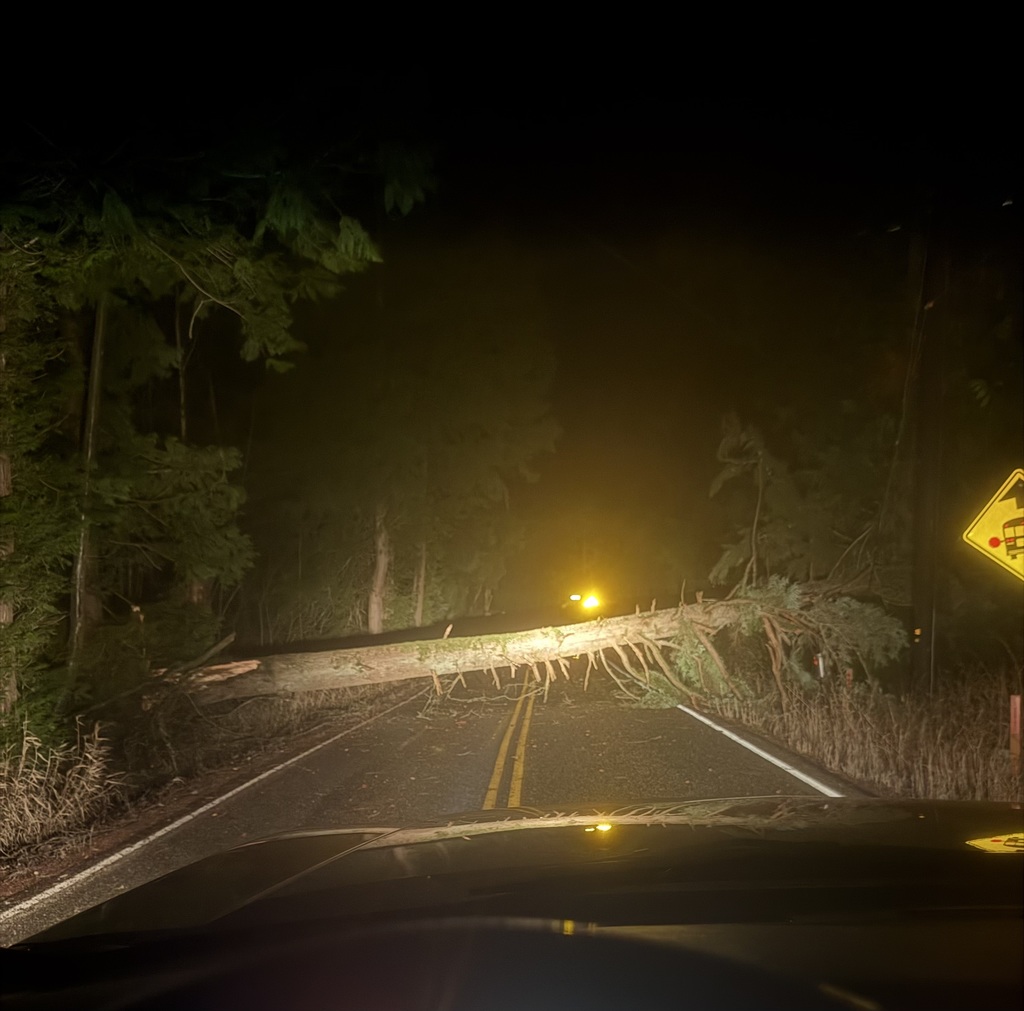 Schools are on a 2-hour late start today (based on regular start times). 