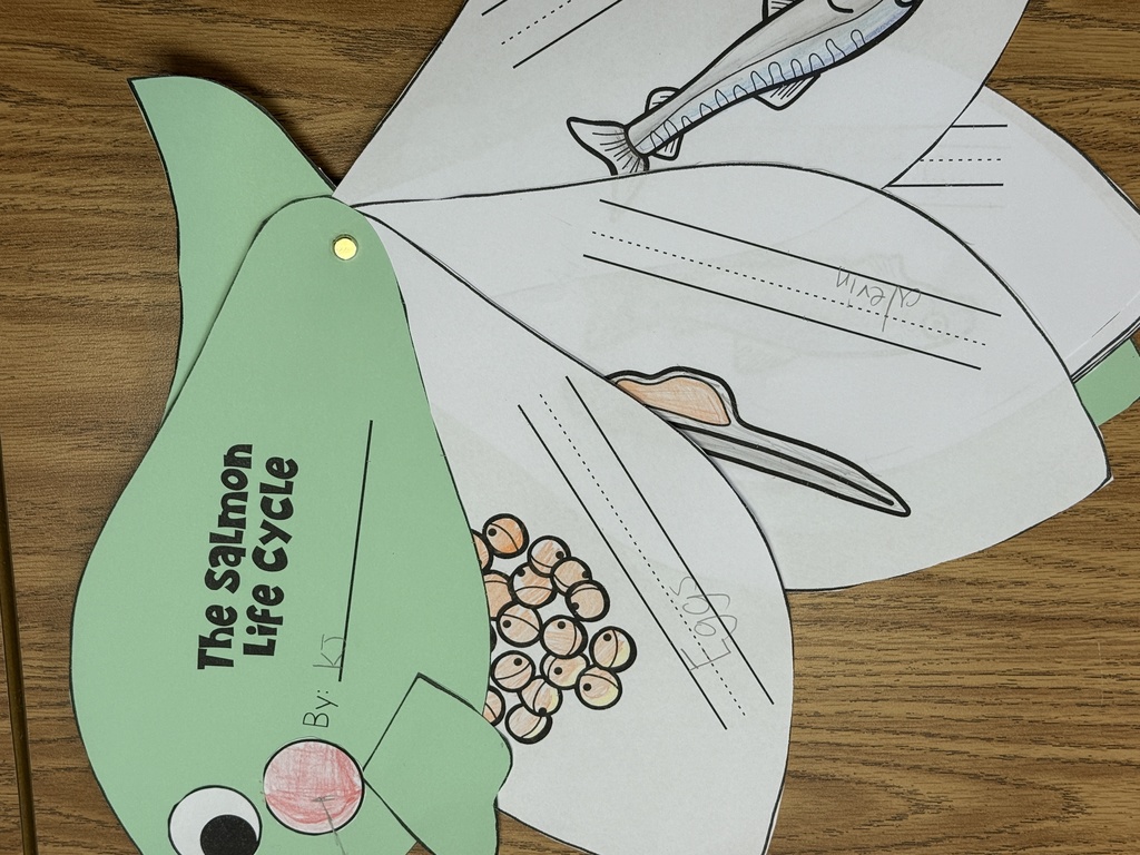 The Salmon Life Cycle