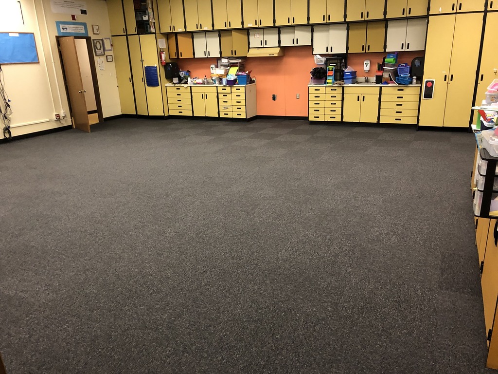 Work has been completed on numerous Capital Levy projects at Evergreen Elementary School. The gym floor is being upgraded and a few classrooms have the first new carpet since the building was opened in the early 1970s. 