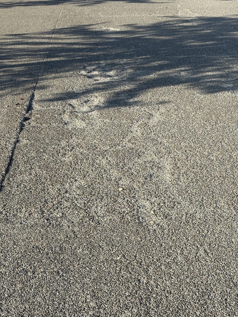 The pervious concrete at Cascade Middle School is in need of repairs. 