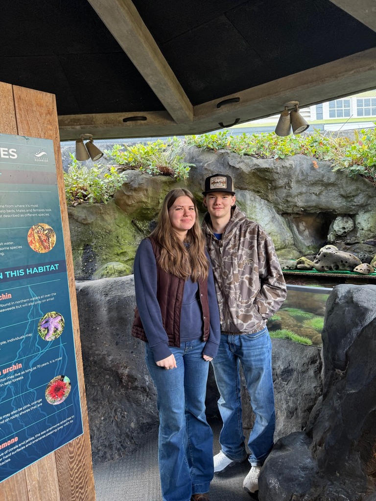 Students explore exhibits at the Seattle Aquarium while learning about ocean habitats and the role scientists play in protecting marine wildlife.