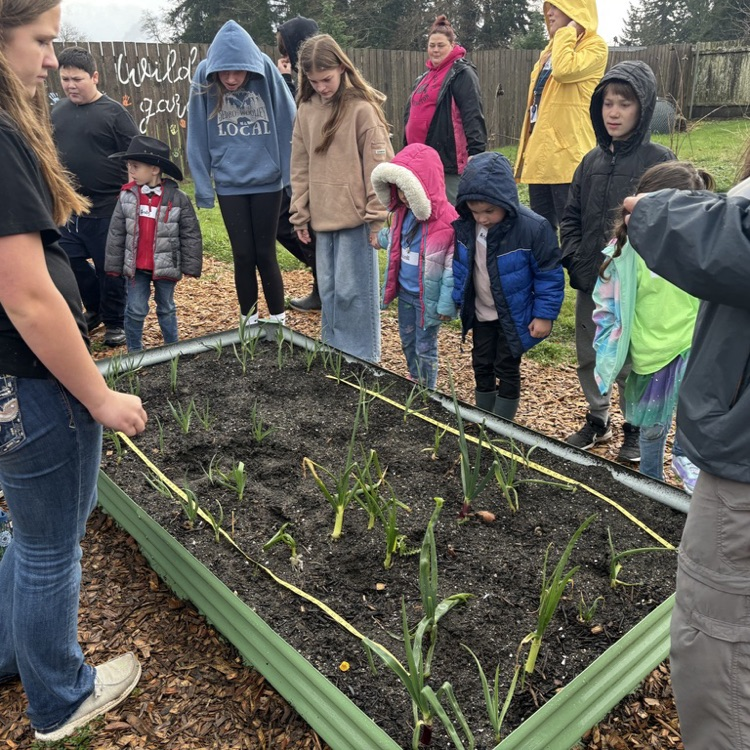 Students learning how to plant kale seeds. 