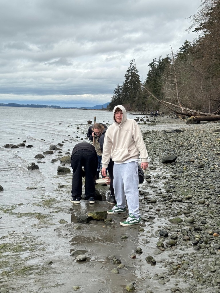 Students explore the shoreline at Padilla Bay during a field trip, collecting small marine organisms and examining them up close as part of a hands-on science learning experience about estuaries.