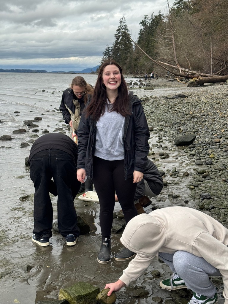 Students explore the shoreline at Padilla Bay during a field trip, collecting small marine organisms and examining them up close as part of a hands-on science learning experience about estuaries.
