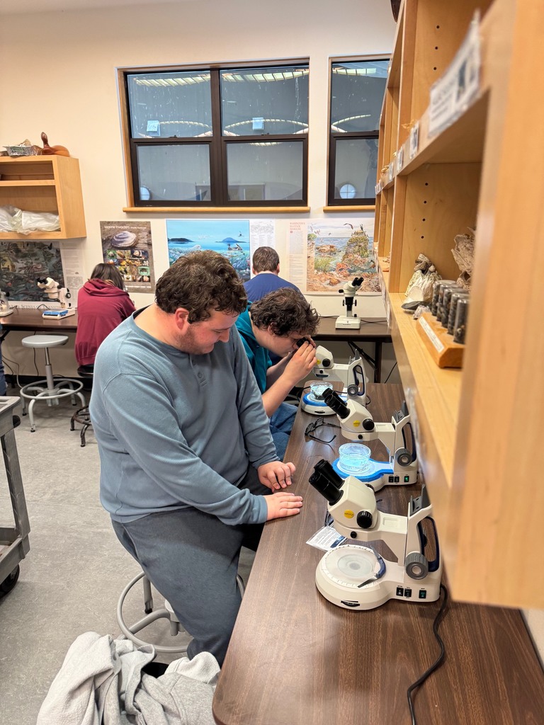 Students explore the shoreline at Padilla Bay during a field trip, collecting small marine organisms and examining them up close as part of a hands-on science learning experience about estuaries.