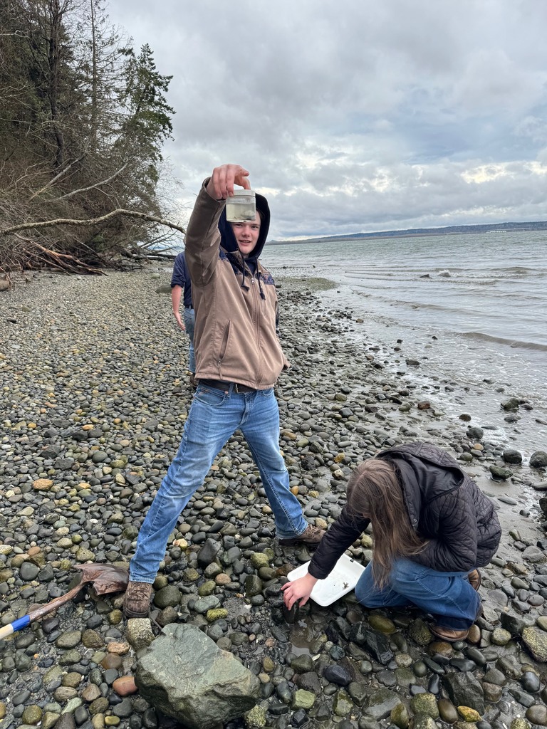 Students explore the shoreline at Padilla Bay during a field trip, collecting small marine organisms and examining them up close as part of a hands-on science learning experience about estuaries.