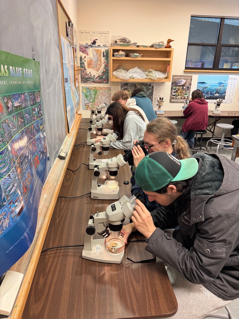 Students explore the shoreline at Padilla Bay during a field trip, collecting small marine organisms and examining them up close as part of a hands-on science learning experience about estuaries.