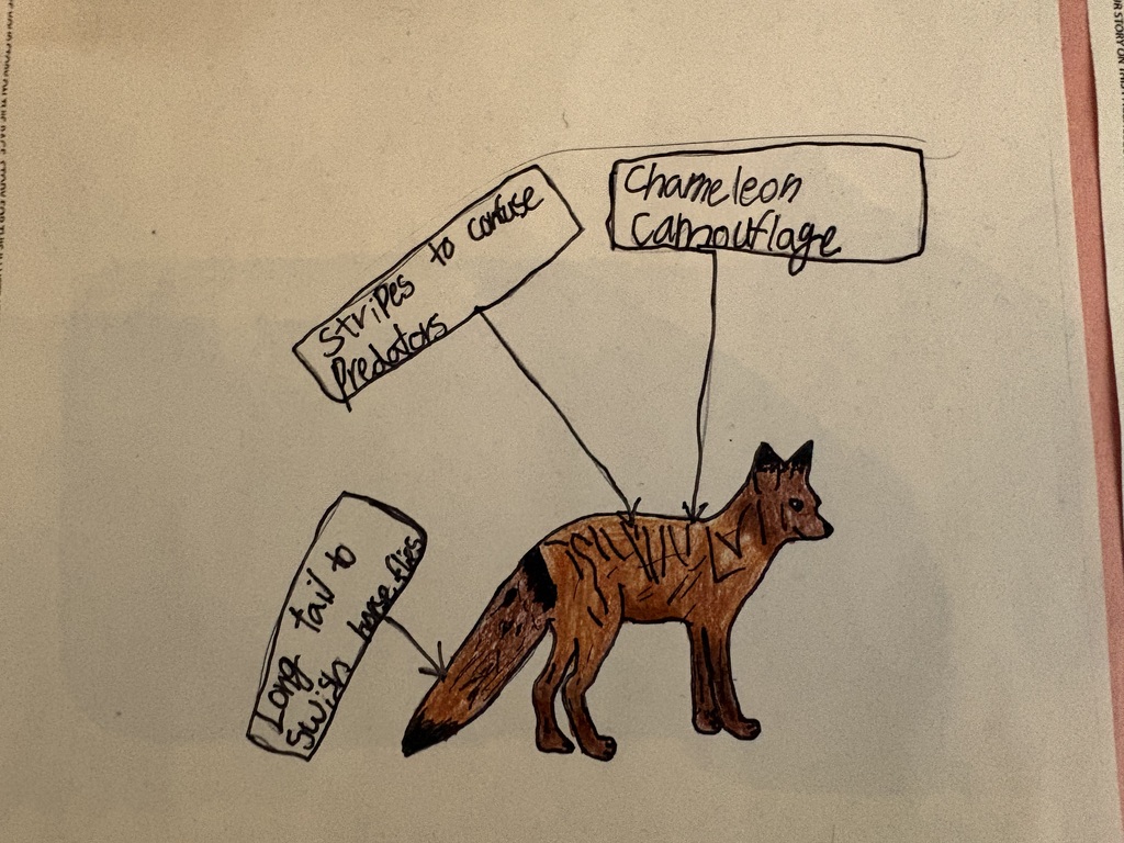 Student drawings of animals redesigned for new habitats, showing creative adaptations such as changes in color, body features, and behaviors to help them survive in different environments.