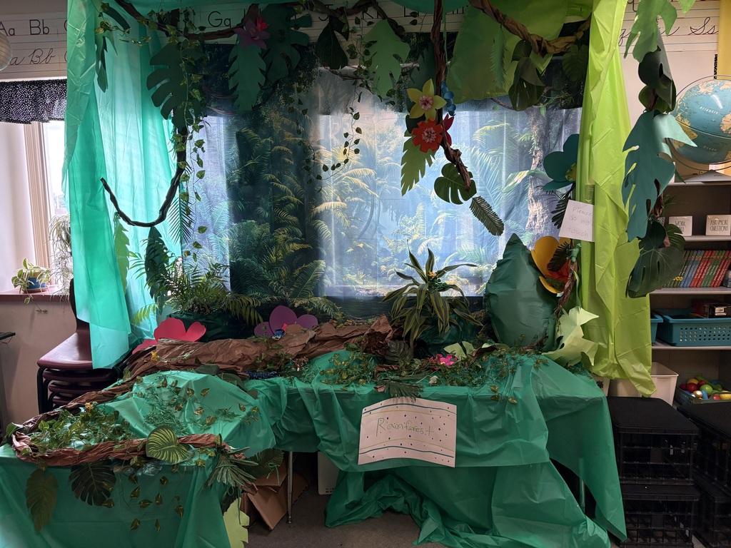 An immersive rainforest display filled with dense greenery and hanging elements, showcasing student-created animals and how they adapt to life in a wet, tropical environment.