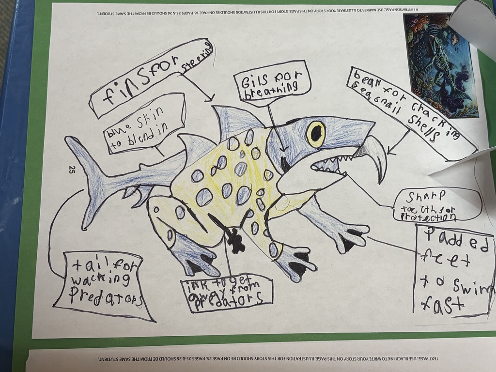 Student drawings of animals redesigned for new habitats, showing creative adaptations such as changes in color, body features, and behaviors to help them survive in different environments.