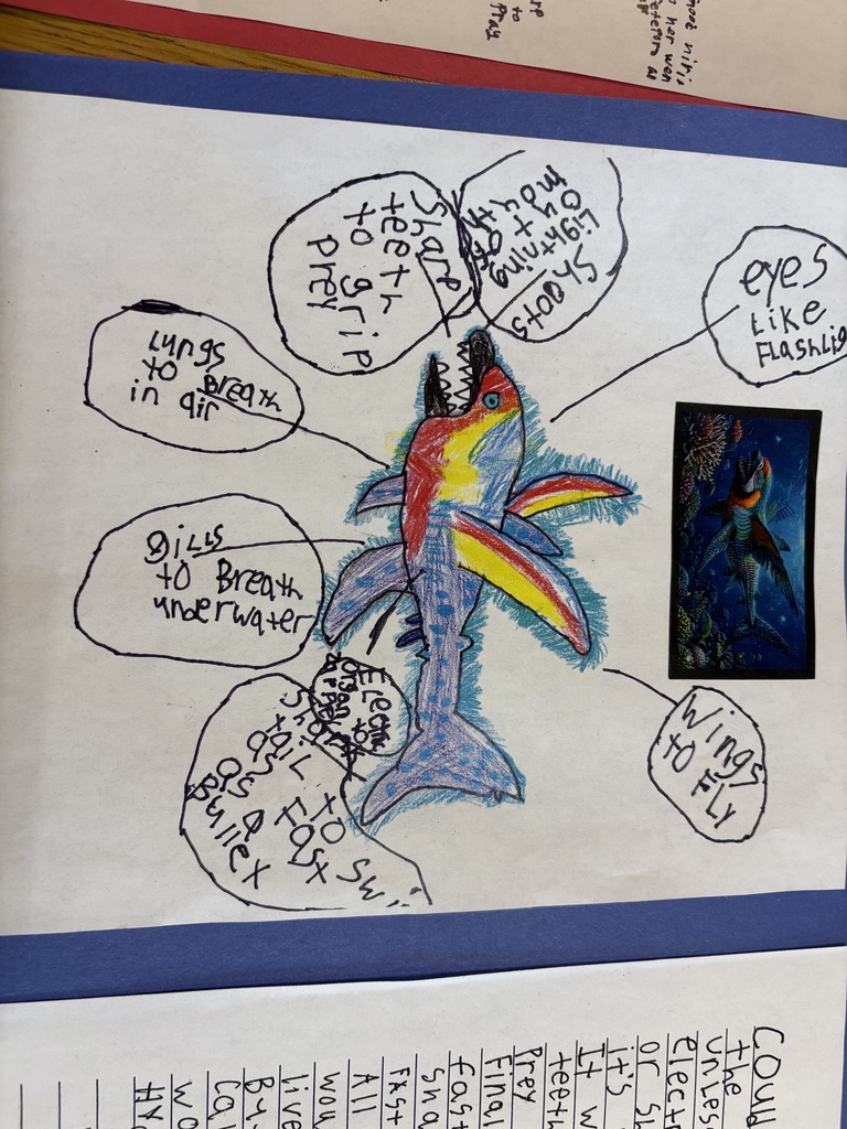 Student drawings of animals redesigned for new habitats, showing creative adaptations such as changes in color, body features, and behaviors to help them survive in different environments.